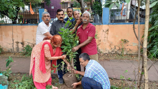 पर्यावरण भारती द्वारा रमा एकादशी व्रत एवं अन्तर्राष्ट्रीय एनीमेशन दिवस के अवसर पर वृक्षारोपण        