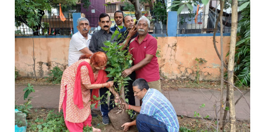 पर्यावरण भारती द्वारा रमा एकादशी व्रत एवं अन्तर्राष्ट्रीय एनीमेशन दिवस के अवसर पर वृक्षारोपण