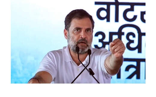 सुप्रीम कोर्ट के आदेश पर बोले राहुल गांधी– आवारा कुत्तों पर फैसला करुणा और जन सुरक्षा के बीच संतुलन