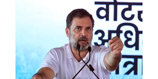 सुप्रीम कोर्ट के आदेश पर बोले राहुल गांधी– आवारा कुत्तों पर फैसला करुणा और जन सुरक्षा के बीच संतुलन