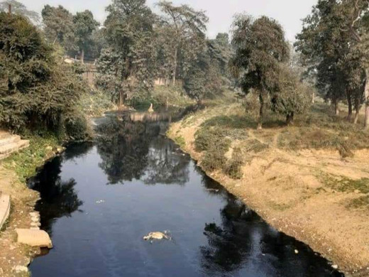 नेपाल में सरिसवा नदी के प्रदूषण को लेकर वीरगंज के पांच औद्योगिक इकाई पर 15 लाख जुर्माना