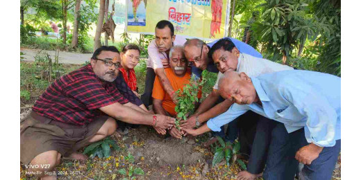 पर्यावरण भारती ने लिया कंक्रीट के जंगल के बीच हरियाली बढ़ाने का संकल्प