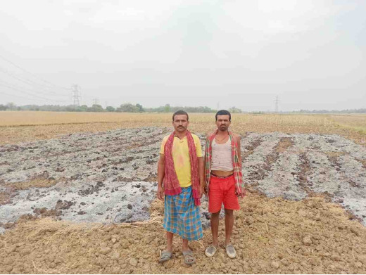 उपद्रवियों ने खेत में लगाई आग, लाखों की फसल जलकर राख