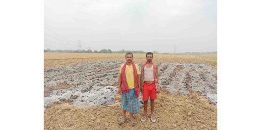 उपद्रवियों ने खेत में लगाई आग, लाखों की फसल जलकर राख