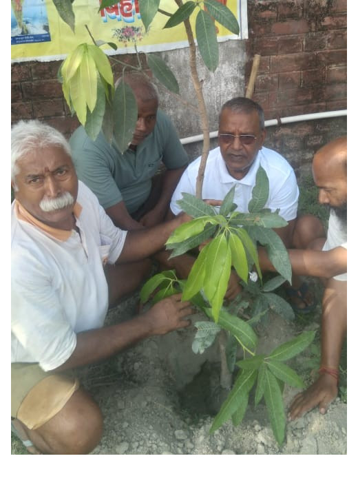 बुद्ध वर्ल्ड स्कूल में वृक्षारोपण कार्यक्रम आयोजित 