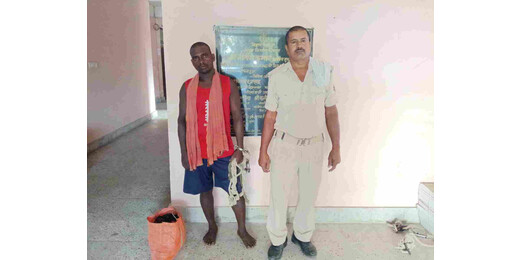 मद्य निषेध की कार्यवाई में अवैध चुलाई शराब के साथ एक गिरफ्तार