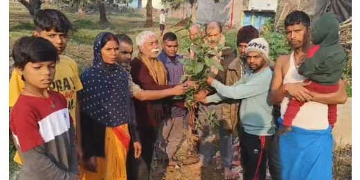 राष्ट्रीय स्वयंसेवक संघ द्वारा विश्व एड्स दिवस पर वृक्षारोपण अभियान