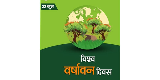विश्व वर्षावन दिवस पर पर्यावरण भारती ने किया पौधारोपण, लगाए सप्तपर्णी के पौधे