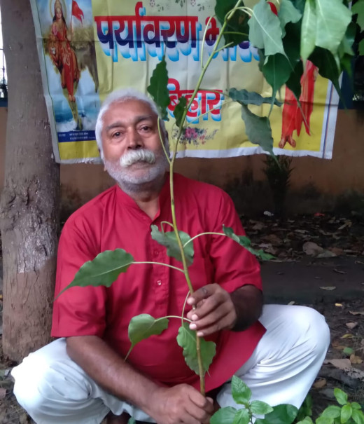 पितृ पक्ष में पर्यावरण भारती द्वारा देव वृक्ष पीपल का पौधारोपण