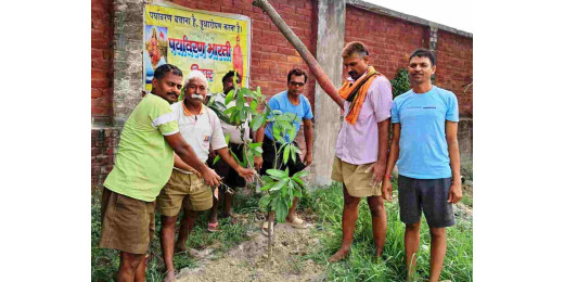गंगा दशहरा पर पर्यावरण भारती द्वारा किया गया वृक्षारोपण