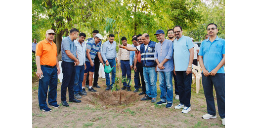 विश्व पर्यावरण दिवस पर एल के सिंहानिया एजुकेशन सेंटर में वृक्षारोपण, पर्यावरण संरक्षण का लिया गया संकल्प