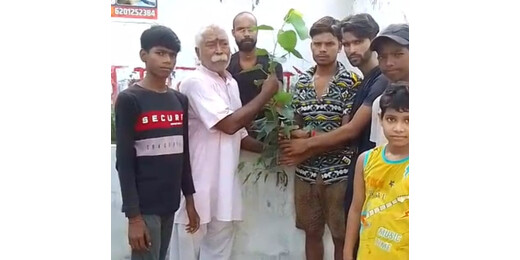 राष्ट्रीय सांख्यिकी दिवस पर पर्यावरण भारती ने किया पीपल वृक्षारोपण, दी पर्यावरण संरक्षण की प्रेरणा