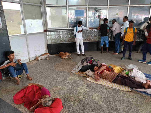 मुजफ्फरपुर स्टेशन परिसर में आवारा कुत्तों का आतंक, यात्रियों में खौफ