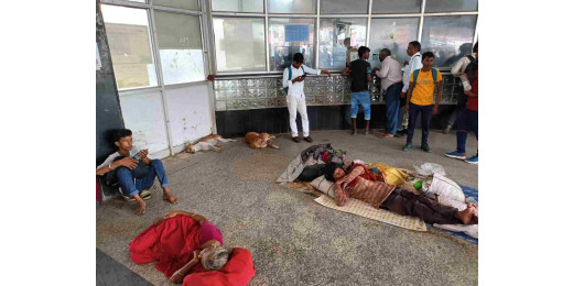 मुजफ्फरपुर स्टेशन परिसर में आवारा कुत्तों का आतंक, यात्रियों में खौफ