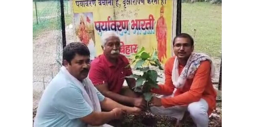 सावित्रीबाई फुले की पुण्यतिथि पर पौधारोपण कार्यक्रम, पर्यावरण बचाने का आह्वान