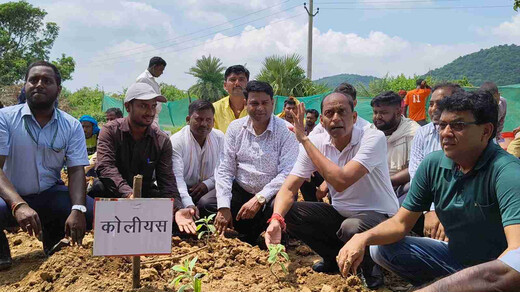 लखीसराय में ‘वैली ऑफ हर्बल गार्डन’ की शुरुआत, 20 दुर्लभ औषधीय पौधों का हुआ रोपण