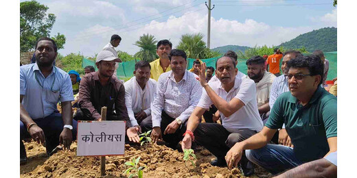 लखीसराय में ‘वैली ऑफ हर्बल गार्डन’ की शुरुआत, 20 दुर्लभ औषधीय पौधों का हुआ रोपण