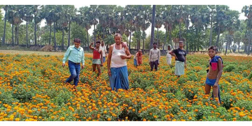 लखीसराय में फूलों की खेती को बढ़ावा, 40 किसानों को मिलेगा प्रशिक्षण