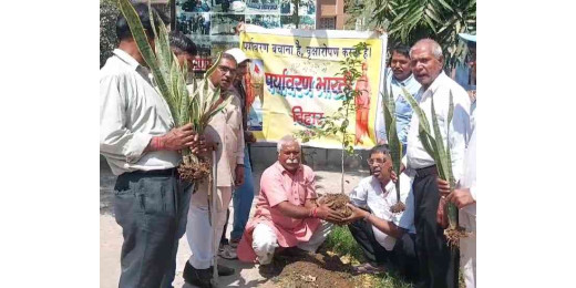विश्व किडनी दिवस पर पर्यावरण भारती द्वारा पौधारोपण