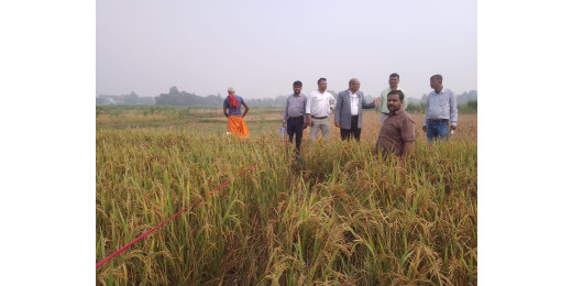 बिहार राज्य फसल सहायता योजना अन्तर्गत फसल की कटनी प्रयोग का निरीक्षण