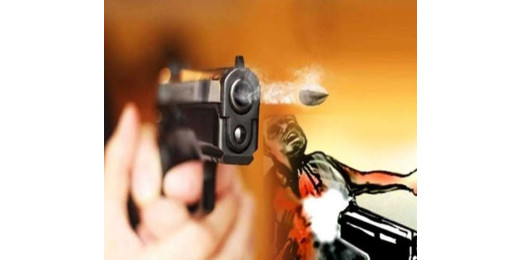 बिहार में बढ़ रहा अपराधियों का खौफ, नेता के बेटे को मारी गोली