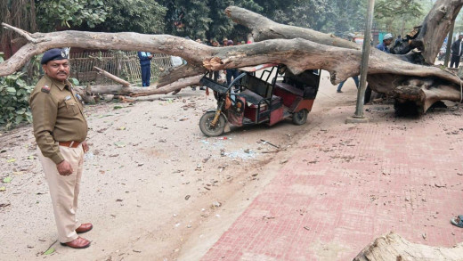किऊल रेलवे स्टेशन के पास टोटो पर गिरी सुखी पीपल की डाल, मचा हड़कंप