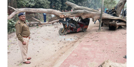 किऊल रेलवे स्टेशन के पास टोटो पर गिरी सुखी पीपल की डाल, मचा हड़कंप