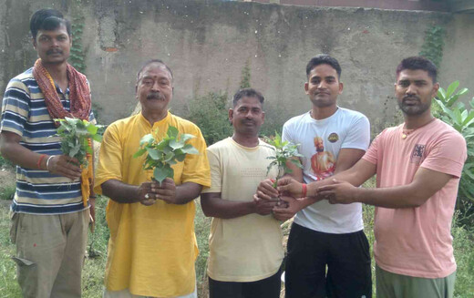 विश्व मरुस्थलीकरण एवं सूखा दिवस पर पर्यावरण भारती द्वारा पौधारोपण कार्यक्रम आयोजित 