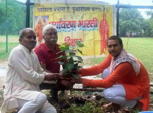 सिद्धू-कान्हू मुर्मू बलिदान दिवस पर देववृक्ष पीपल के लगाए गए पौधे 