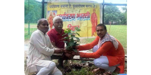 सिद्धू-कान्हू मुर्मू बलिदान दिवस पर देववृक्ष पीपल के लगाए गए पौधे