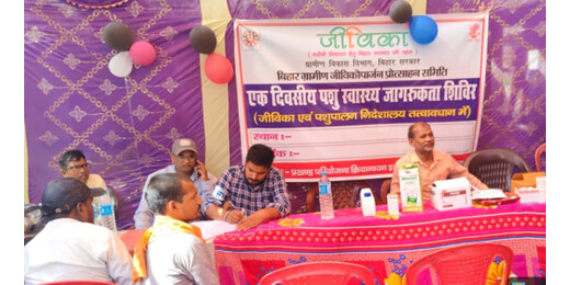 पशुओं के बेहतर स्वास्थ्य के लिए पहल, बड़हिया में 143 परिवारों को मिला चिकित्सा सहयोग