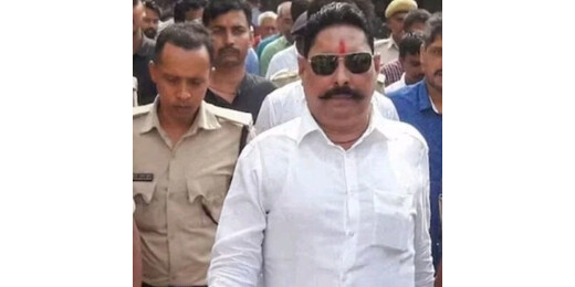 जेल से सीधे विधानसभा पहुंचे अनंत सिंह, वोट को लेकर किया बड़ा खुलासा