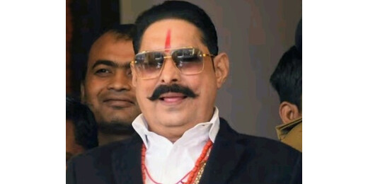 राज्यसभा वोटिंग के बीच अनंत सिंह का बड़ा बयान, चुनावी राजनीति से लेंगे संन्यास