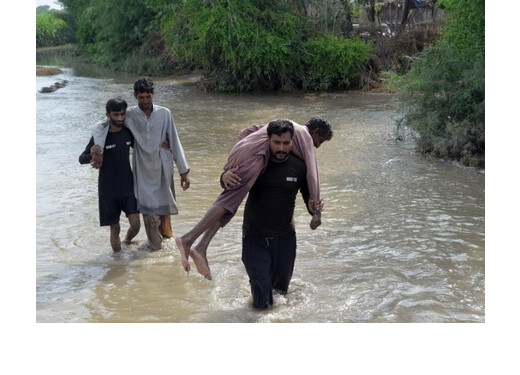 पाकिस्तान में मूसलाधार बारिश और बाढ़ से अब तक 883 मौतें, इस्लामाबाद में रेड अलर्ट