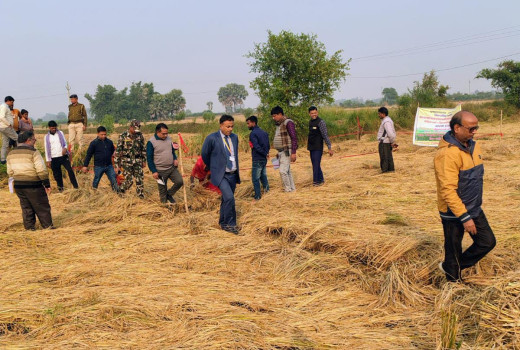 बिल्लो ग्राम में जिला पदाधिकारी ने कराया धान फसल कटनी प्रयोग