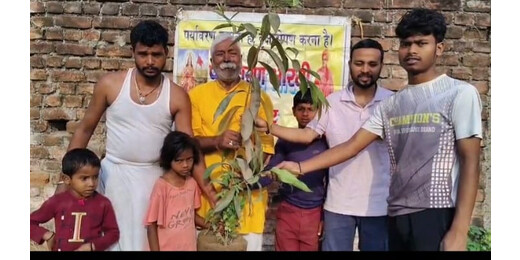 विश्व गौरैया दिवस पर पौधारोपण, पर्यावरण संरक्षण का दिया संदेश