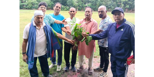 सरदार पटेल जयंती पर पर्यावरण भारती की पहल, आठ पौधे लगाकर दिया हरियाली का संदेश