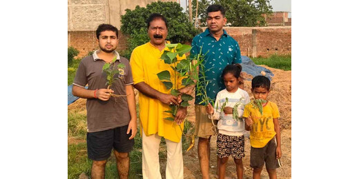 स्व. सिंघो तांती को पौधारोपण से श्रद्धांजलि, विश्व वर्षावन दिवस पर पर्यावरण संरक्षण का लिया संकल्प