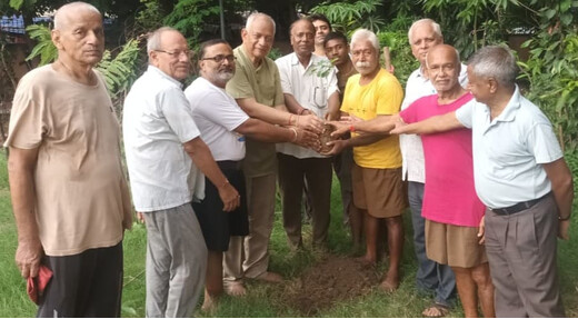 शहीद दिवस पर पर्यावरण भारती ने किया पौधारोपण, भगत सिंह को दी श्रद्धांजलि