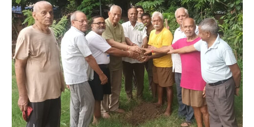 शहीद दिवस पर पर्यावरण भारती ने किया पौधारोपण, भगत सिंह को दी श्रद्धांजलि