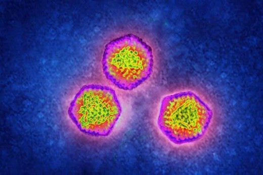 एडीनो वायरस बरपा रहा कहर, अब तक 11 बच्चों की मौत