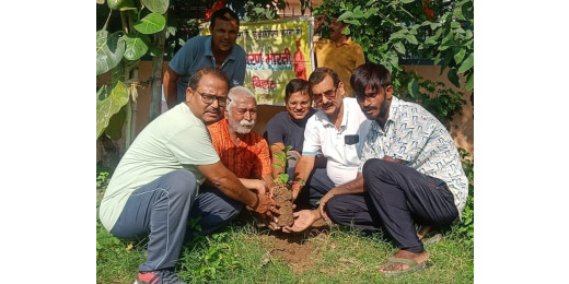 अंतर्राष्ट्रीय विश्वविद्यालय खेल दिवस पर पर्यावरण भारती ने किया पौधारोपण