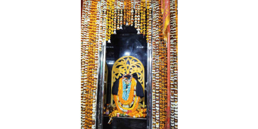 शनि देव महाराज की प्राण प्रतिष्ठा, महा भंडारे में उमड़ी भक्तों की भीड़