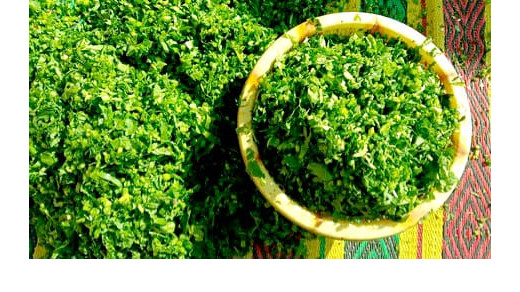 शरीर को हेल्दी रखती है सर्दियों में मिलने वाली ये 7 पत्तेदार सब्जियां, खाने में जरूर करें शामिल