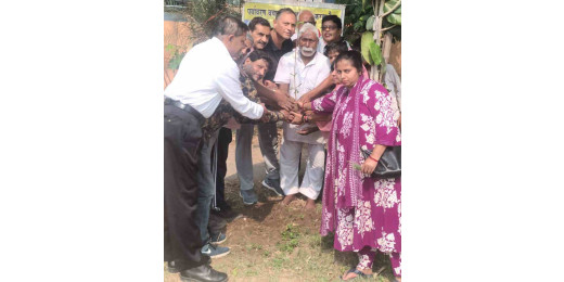 अंबेडकर जयंती के अवसर पर पर्यावरण भारती ने लगाए औषधीय वृक्ष