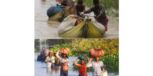 बिहार में बाढ़ का प्रकोप, फसलें तबाह, सड़कों को भारी नुकसान