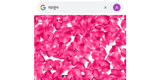 महाकुंभ 2025 : गूगल पर महाकुंभ सर्च करते ही स्क्रीन पर गुलाबी फूलों की हो रही बारिश