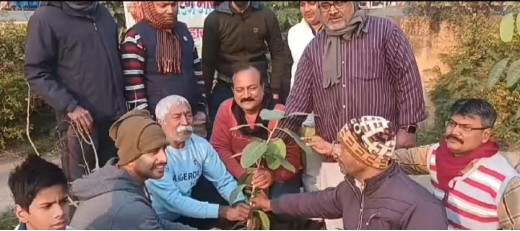 सरदार बल्लभभाई पटेल की पुण्यतिथि पर पर्यावरण भारती द्वारा किया गया पौधरोपण 