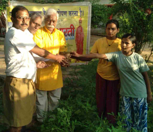 विश्व अंतर्राष्ट्रीय न्याय दिवस पर पर्यावरण भारती द्वारा किया गया पौधारोपण