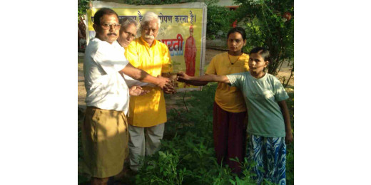 विश्व अंतर्राष्ट्रीय न्याय दिवस पर पर्यावरण भारती द्वारा किया गया पौधारोपण